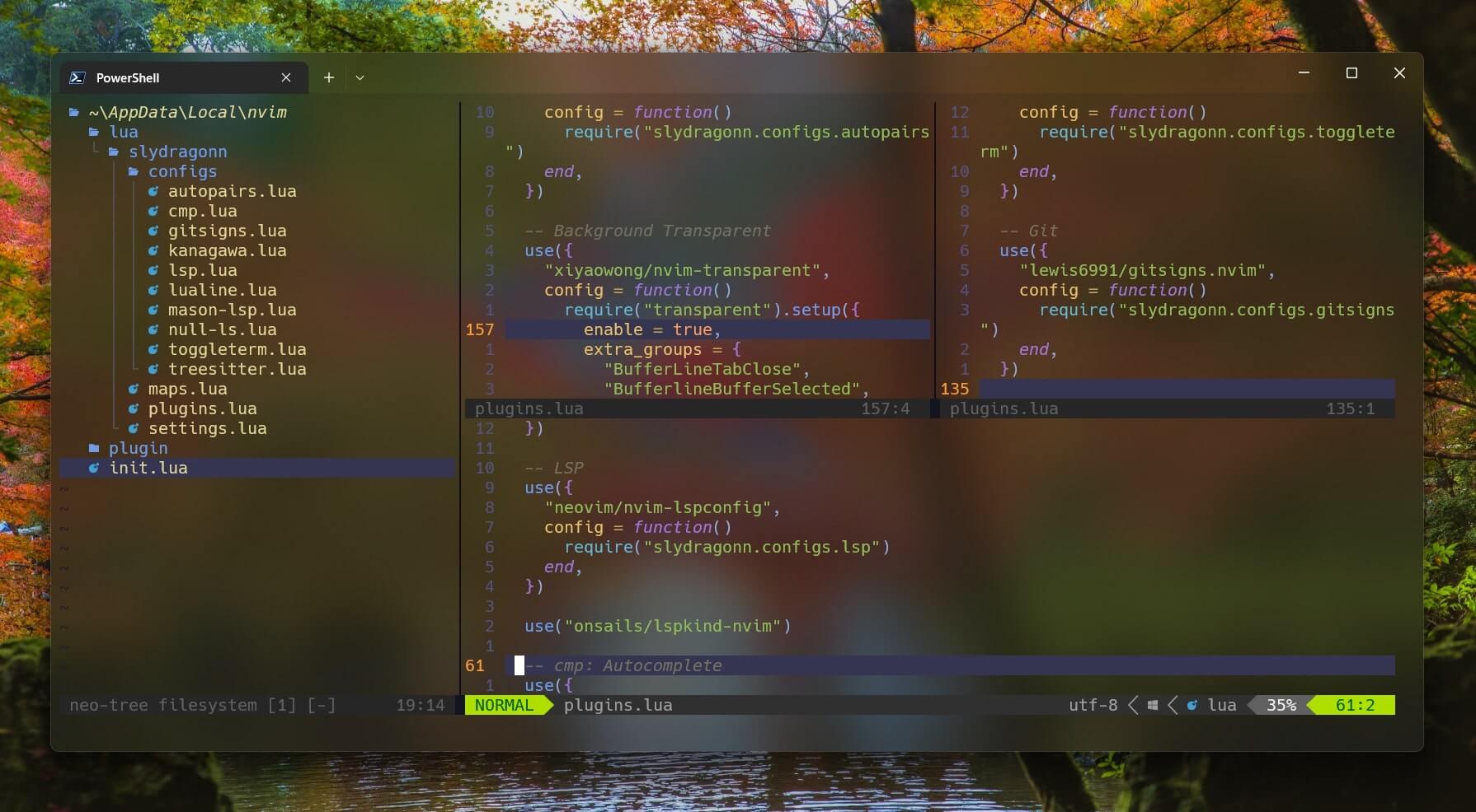 Neovim Setups